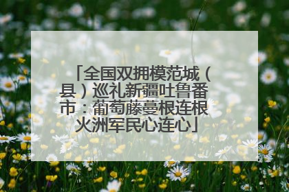 全国双拥模范城（县）巡礼新疆吐鲁番市：葡萄藤蔓根连根 火洲军民心连心